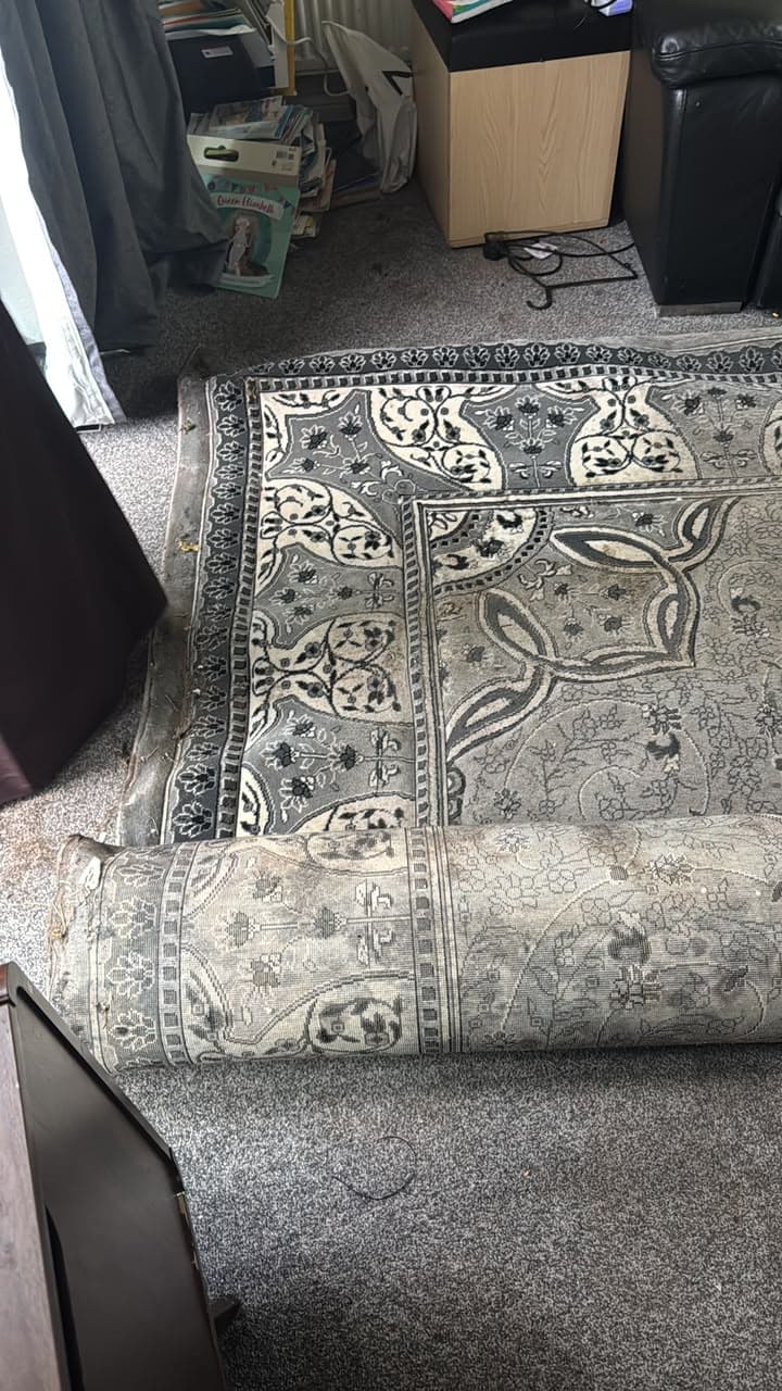 After Wool Rug Collected for Cleaning